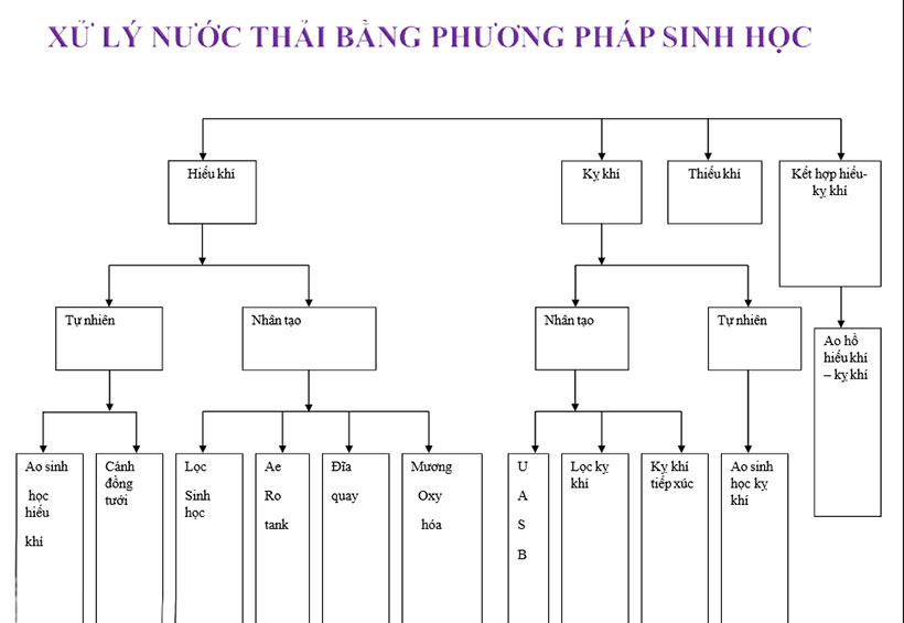 Xử lý nước thải bằng phương pháp sinh học