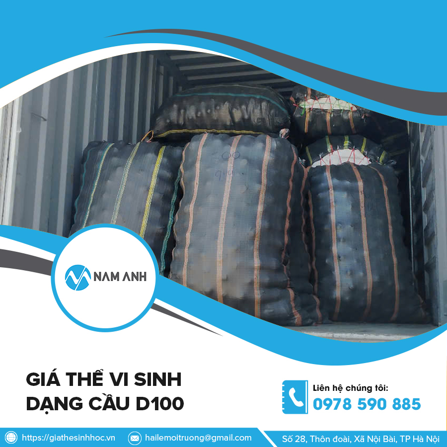 Giá thể vi Sinh dạng cầu D100
