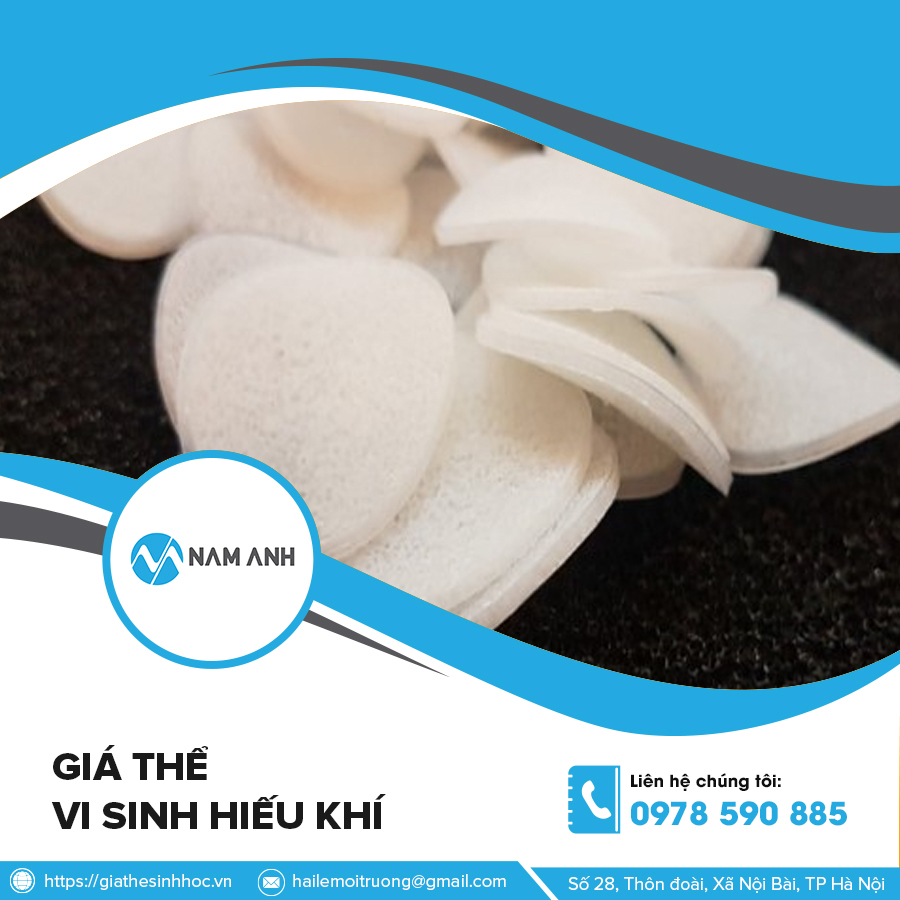 Giá thể vi sinh hiếu khí
