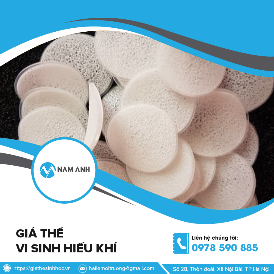 Giá thể vi sinh hiếu khí