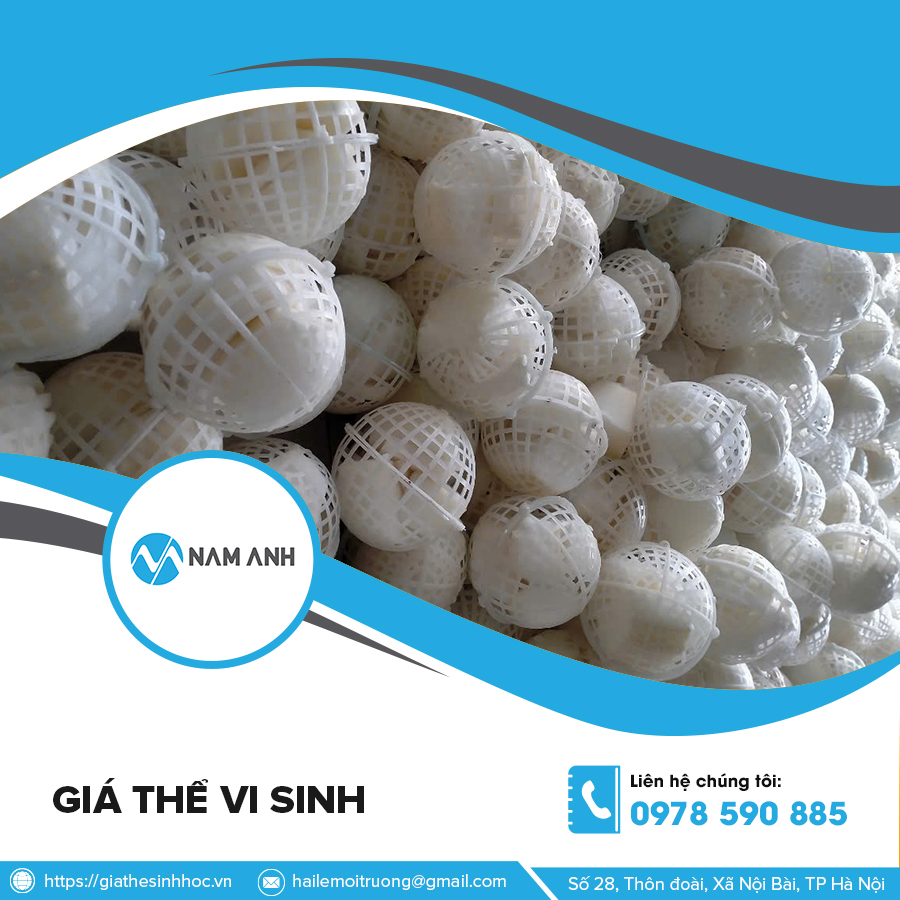 Giá thể vi sinh