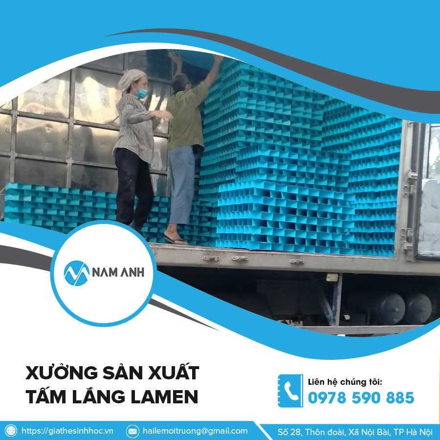 chưa dợ, qua năm tranh thủ đi sg cha ae